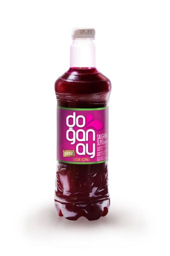 DOGANAY SALGAM SUYU 1LT ACISIZ. ürün görseli